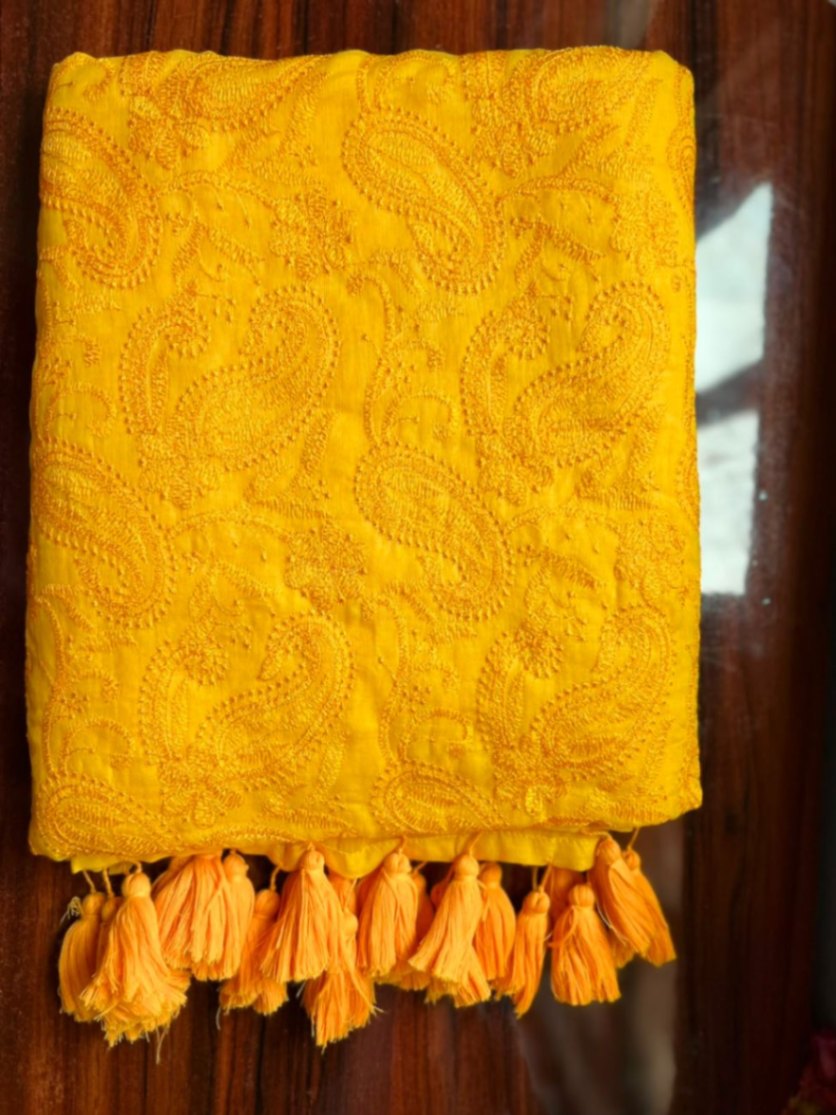 Mul Cotton Chikankari Embroidery Sari with Blouse view 3