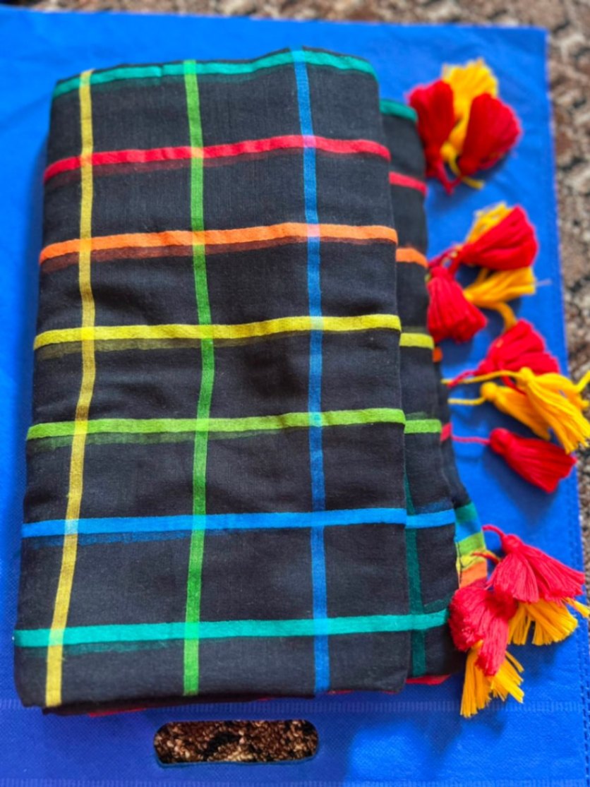 Mul Cotton Rainbow Check Sari with Blouse view 6
