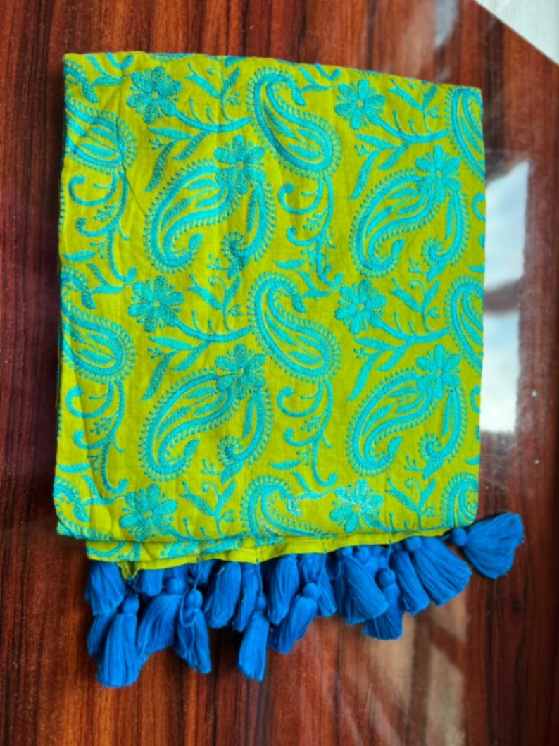 Mul Cotton Chikankari Embroidery Sari with Blouse view 6