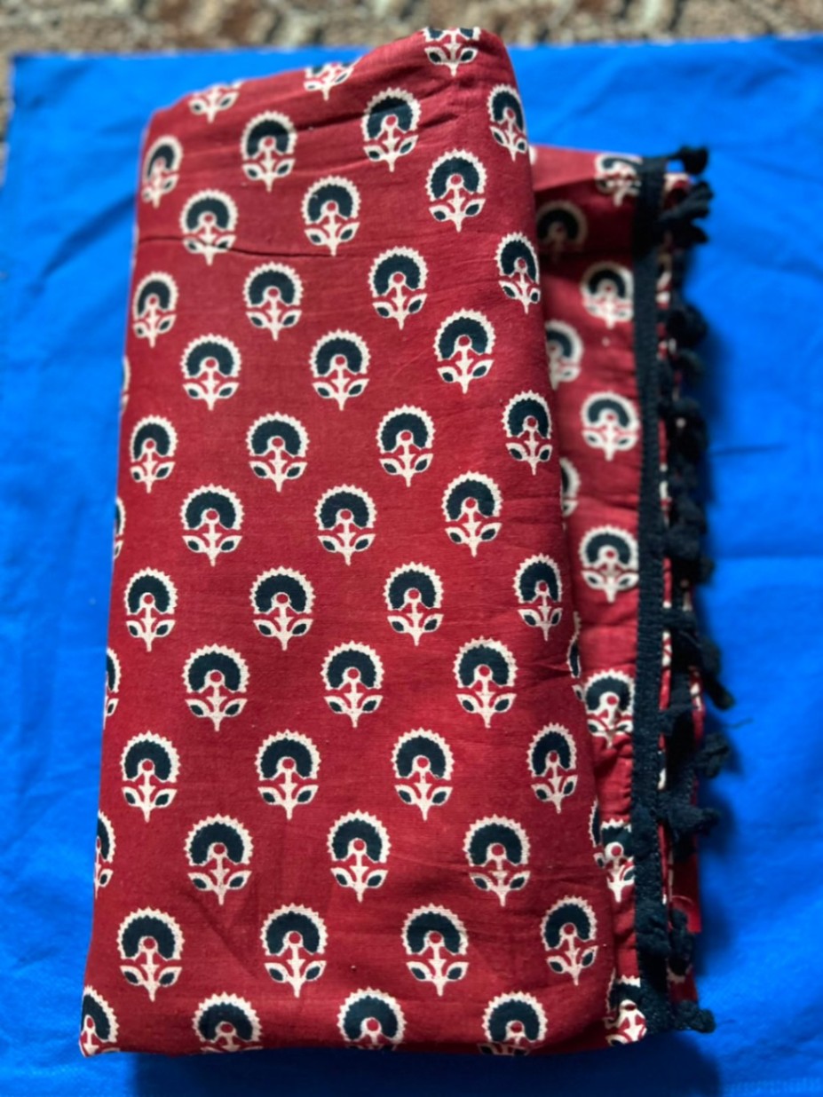 Kalamkari Sari view 1