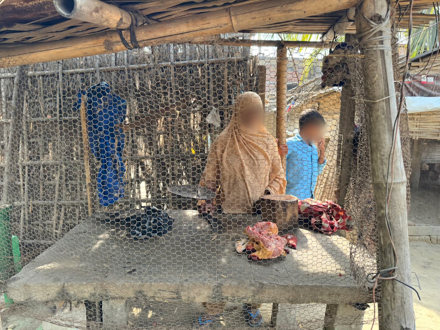 Privacy-protected poultry livelihood beneficiary in Eastern Nepal