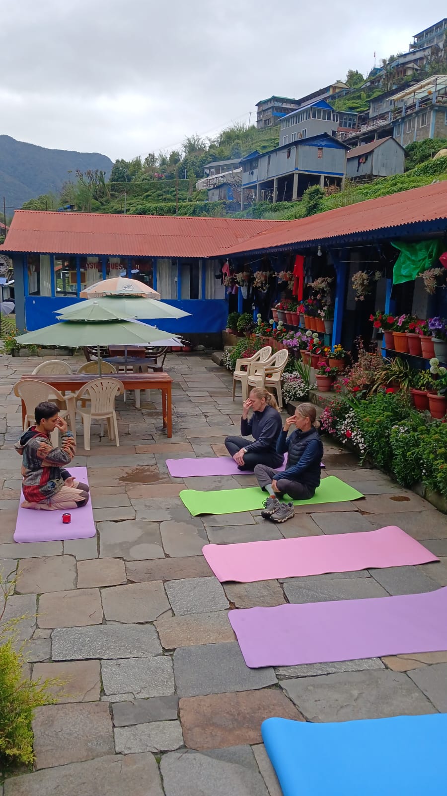 Guided Yoga Lessons from Experienced Instructors