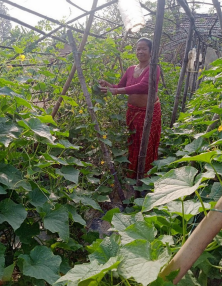 Raj Kumari Chaudhari – From Traditional Farming to Mushroom Enterprise